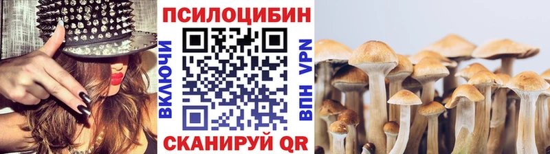даркнет клад  Калуга  Псилоцибиновые грибы прущие грибы  где можно купить наркотик 