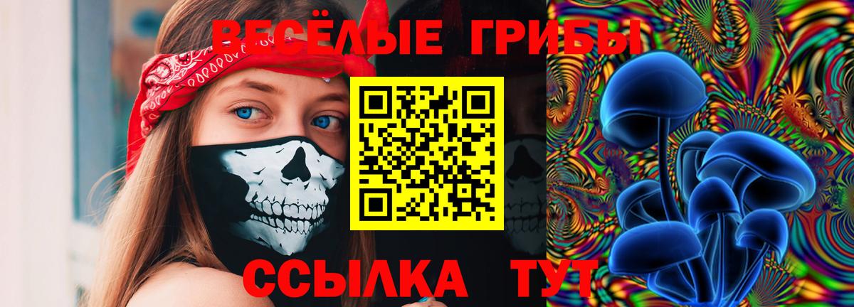 купить закладку  Галлюциногенные грибы мицелий  Калуга  Вход с VPN  Галлюциногенные грибы ЛСД 