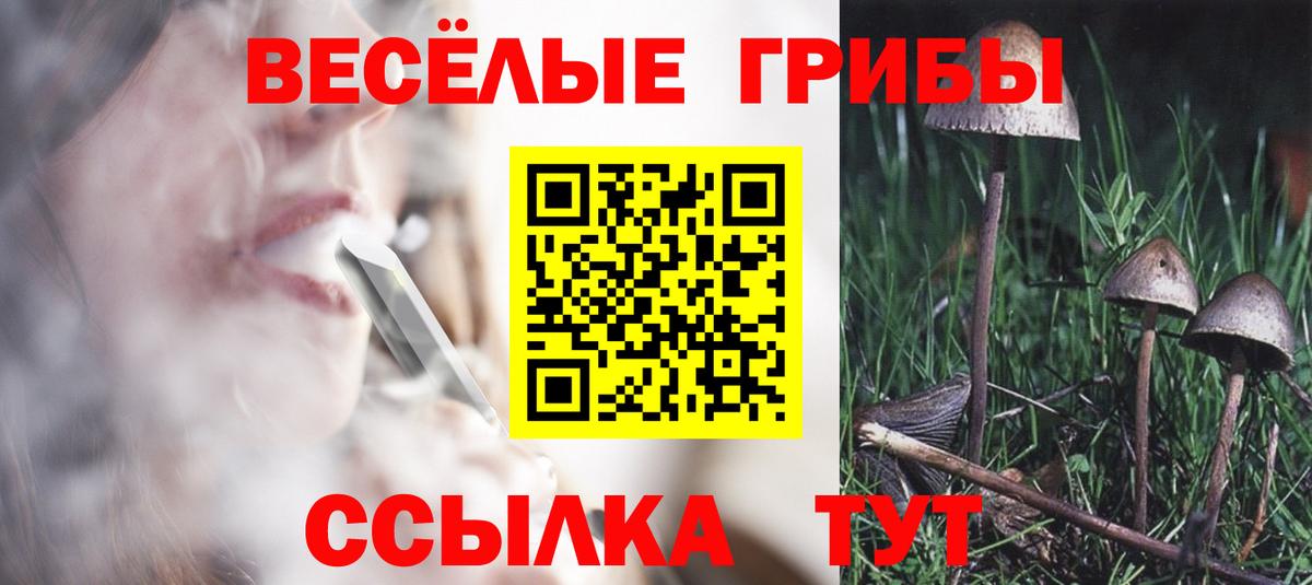 где купить наркоту  Калуга  Псилоцибиновые грибы Psilocybe 